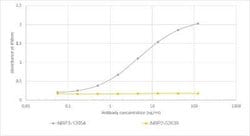 VISTA/B7-H5/PD-1H Rabbit anti-Mouse, Clone: 13F3, Novus Biologicals:Antibodies:Primary
